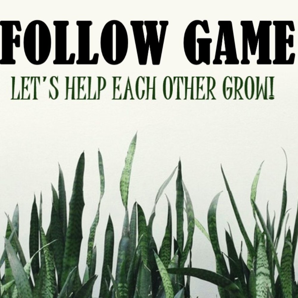 My First Follow Game 👀